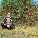 ���� ����, ���������, 44 ���� - ��������� 13 ������� 2016 � ������ ���� ����������