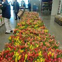 ���� ����, ������������, 55 ��� - ��������� 8 ����� 2016 � ������ ���� ����������