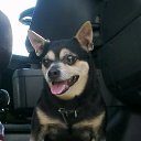  Vidmantas, , 52  -  28  2015    