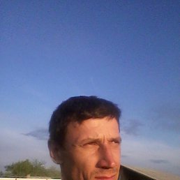 ���� ������, �����, 48 ��� - ��������� 29 ������� 2016