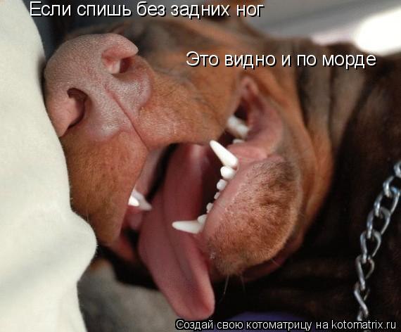 � ����� ���� - 2 ������� 2015 � 12:02