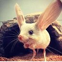 ���� �������, ����������, 59 ��� - ��������� 29 ������� 2016 � ������ ������ ��������