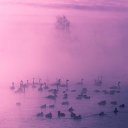 ���� ������, ������������, 58 ��� - ��������� 8 ������ 2016 � ������ ���� ����������