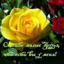 ���� ������, ����� - ��������� 11 ������� 2016 � ������ ������ ��������