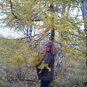 ���� �������, ����, 52 ���� - ��������� 7 ������ 2015 � ������ ���������� ������