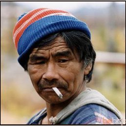 ���������, ����, 52 ����