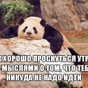 ���� ���������, �����, 53 ���� - ��������� 31 ������� 2015 � ������ ������ ��������