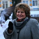 � ������ -������� ���� � ������2015� �� ������� ���� ����������