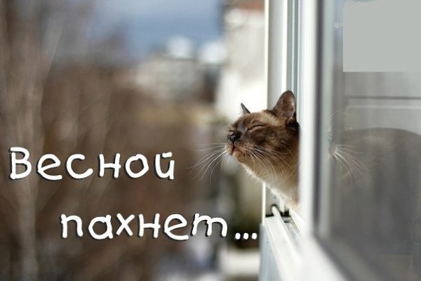 ������� ����� - 26 ������� 2016 � 17:57