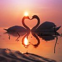 ���� ����, ���������, 56 ��� - ��������� 18 ������ 2015 � ������ ������ ��������