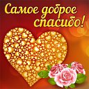 ���� ������, ������ ����� - ��������� 23 ������ 2015 � ������ �������� ��������