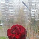 ���� �����, ������ �����, 38 ��� - ��������� 1 ������� 2015 � ������ ���� ����������