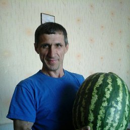 Александр, 54, Белицкое