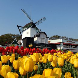 ���� ������, ������ - ��������� 10 ������� 2015