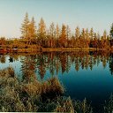 ������ ���� �� ������� �������