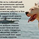 ���� ����, ����, 48 ��� - ��������� 14 ������� 2016 � ������ ������ ��������