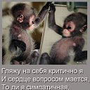 ���� �������, ��������� - ��������� 22 ������ 2016 � ������ ������ ��������