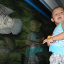 ���� �����, ������ - ��������� 15 ������ 2016 � ������ ���� ����������