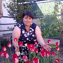 ���� ������, ������, 50 ��� - ��������� 4 ������� 2016