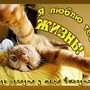 ���� ��������, ������, 53 ���� - ��������� 28 ������ 2015 � ������ ������ ��������
