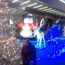 ���� ��������, ������, 37 ��� - ��������� 3 ������ 2016 � ������ ���� ����������