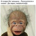 ���� ������, �����-���������, 41 ��� - ��������� 7 ������ 2015 � ������ ������ ��������