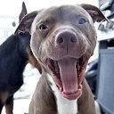 ���� �����, �����, 45 ��� - ��������� 25 ������� 2015