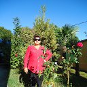 ���� ����, ����, 71 ��� - ��������� 22 ������� 2015 � ������ ���� ����������