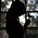 ���� ����, ������� ������ - ��������� 11 ������� 2015 � ������ ���� ����������