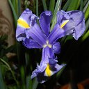 ���� �����, ������ - ��������� 7 ������� 2016