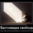 ���� ������, ������, 46 ��� - ��������� 15 ������� 2015 � ������ ������ ��������