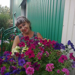 ���� ������, ����� - ��������� 9 ������ 2015