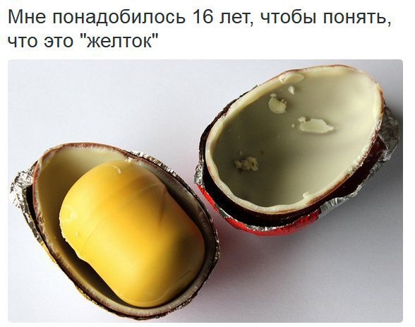 ������� ���� - 8 ������ 2016 � 09:15