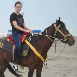 ����������, ���������, 29 ���