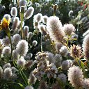 ���� ������, ��������, 55 ��� - ��������� 28 �������� 2015 � ������ ���� ����������