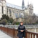 ���� �����, ���������, 62 ���� - ��������� 27 �������� 2015 � ������ ���� ����������