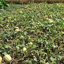 ���� ���������, �����, 58 ��� - ��������� 20 ������ 2015 � ������ ���� ����������