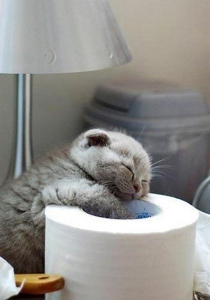   - 22  2015  18:51 - 3