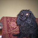 ������ ���� �� ������� ���� �������