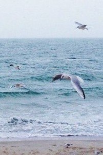 Есть три вещи, которых боится большинство людей: доверять, говорить правду и быть собой. ... - 6