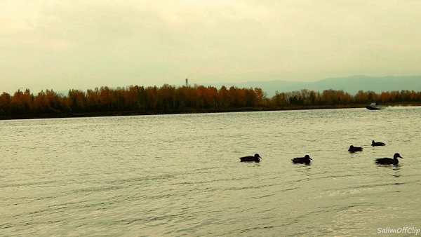    .      . , ,  , ... - 2