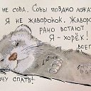 ���� �����, �����-���������, 37 ��� - ��������� 21 ������� 2015 � ������ ���� ����������