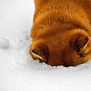 ���� ��������, ������, 48 ��� - ��������� 15 ������� 2015 � ������ ���� ��� ��