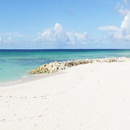 ������, ��������, 50 ���