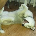 ���� �����, ������� - ��������� 23 ������ 2016 � ������ ������������ �������