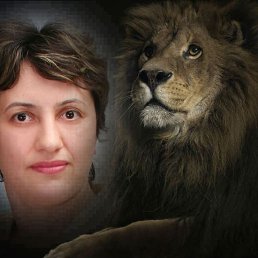 ���� ��������, ���������, 59 ��� - ��������� 21 ������� 2015