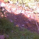 ������ ����� �� ������� ���� ����������