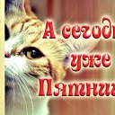 ���� ��������, ������, 59 ��� - ��������� 9 ����� 2016 � ������ �������� ��������