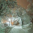 ���� ����, ��������� - ��������� 2 ������� 2015 � ������ ������ ��������