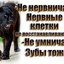 ���� ? Alina?, ��������� - ��������� 28 ������ 2015 � ������ ���� ����������